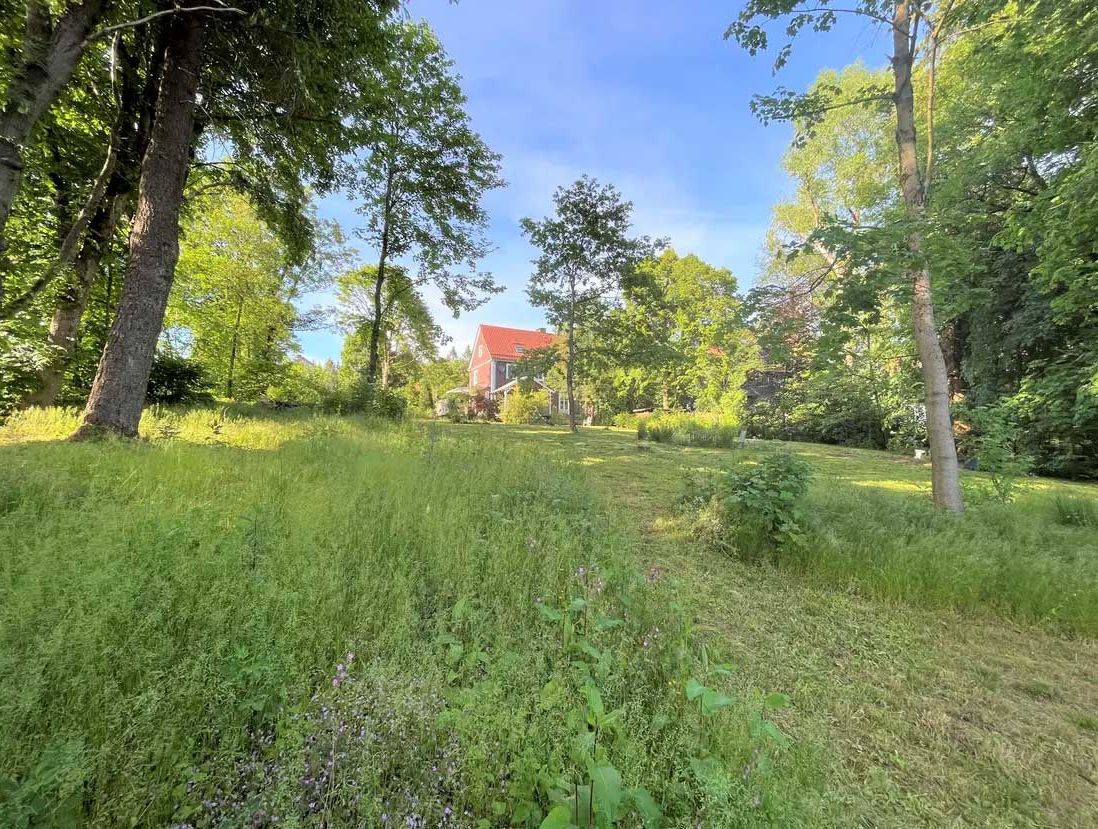 Ankommen & verlieben: Natur pur auf 3.300 m² mit 1a-Direktorenhaus in bester Lage!